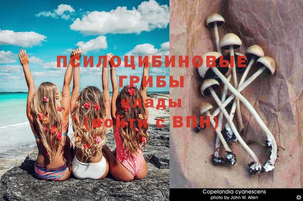 прущая мука Алексеевка